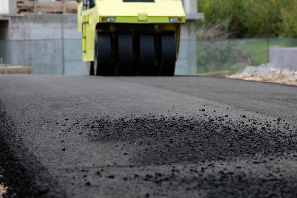 Best Professional Driveway Pavers  in Longboat Key, FL